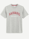 Celio Harvard University Majica