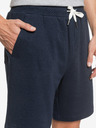 Quiksilver Kratke hlače