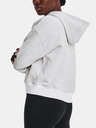 Under Armour Essential Script Hoodie Pulover