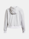 Under Armour Essential Script Hoodie Pulover