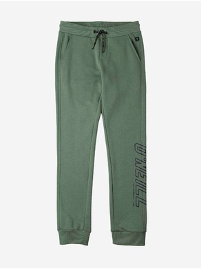 O'Neill All Year Jogger Pants Otroška trenirka