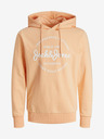 Jack & Jones Forest Pulover