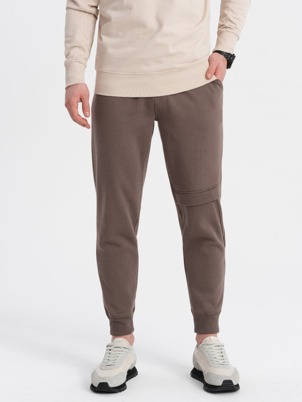 Ombre Clothing Rjave moške tovorne hlače Ombre Clothing