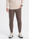 Ombre Clothing Rjave moške tovorne hlače Ombre Clothing