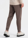 Ombre Clothing Rjave moške tovorne hlače Ombre Clothing