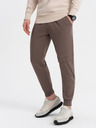Ombre Clothing Rjave moške tovorne hlače Ombre Clothing