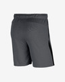 Nike Dri-FIT Kratke hlače